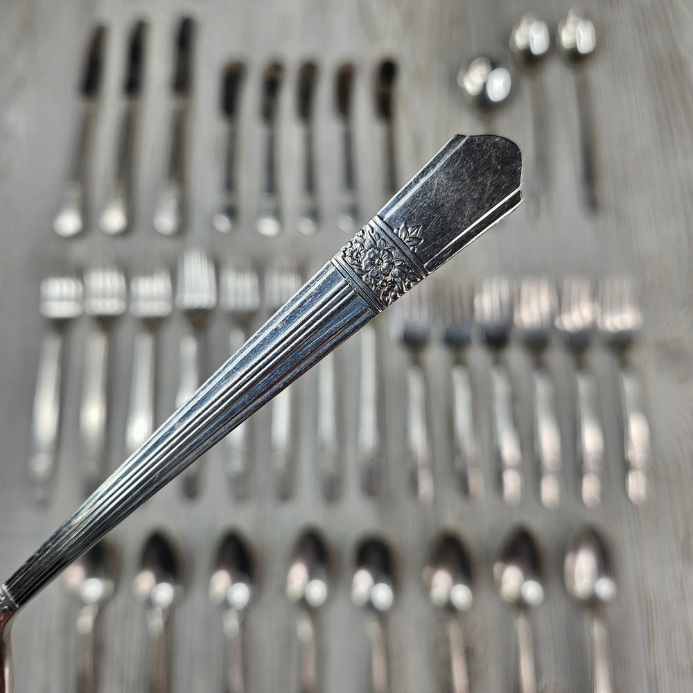 Oneida Floral Band Silver Flatware Set - Silver
